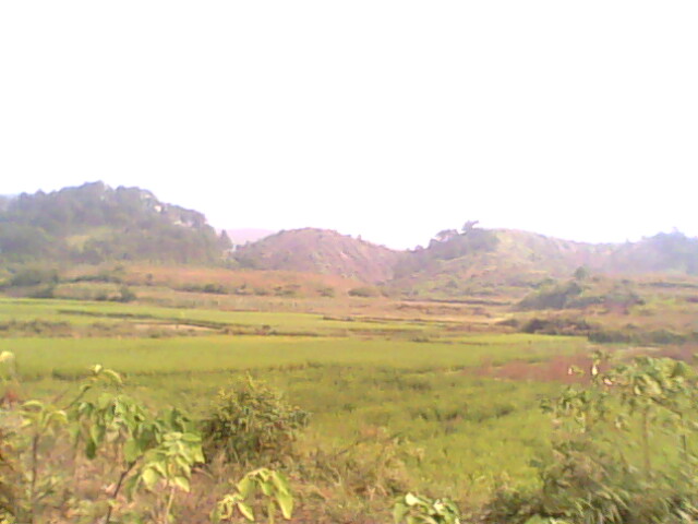 IMG0198A.jpg