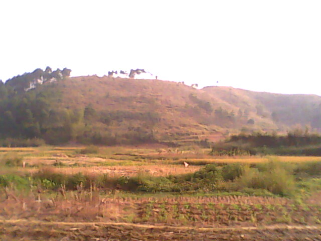 IMG0205A.jpg