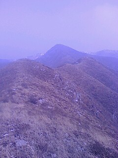 IMG0210153200.jpg
