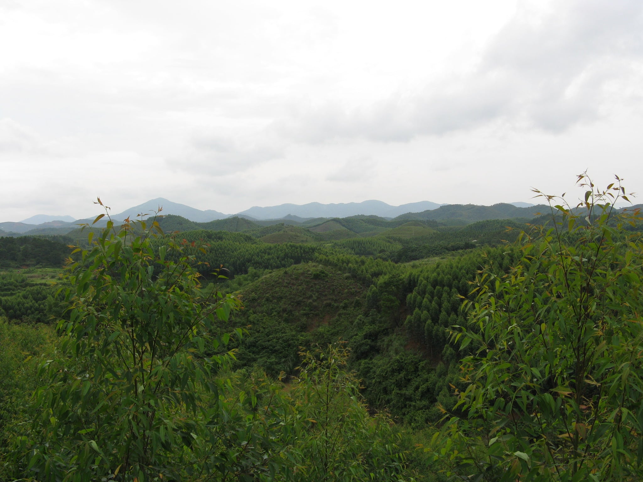 IMG_0011.JPG