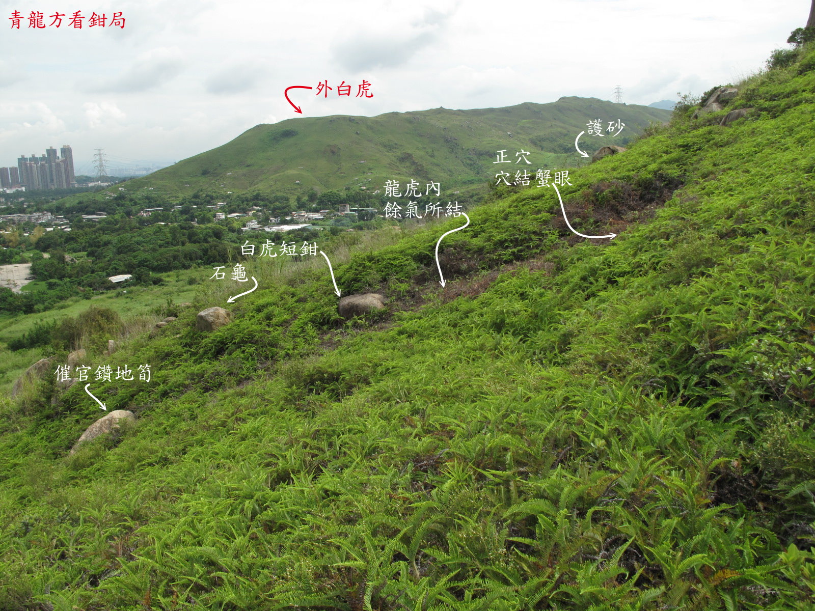 IMG_1348a.jpg
