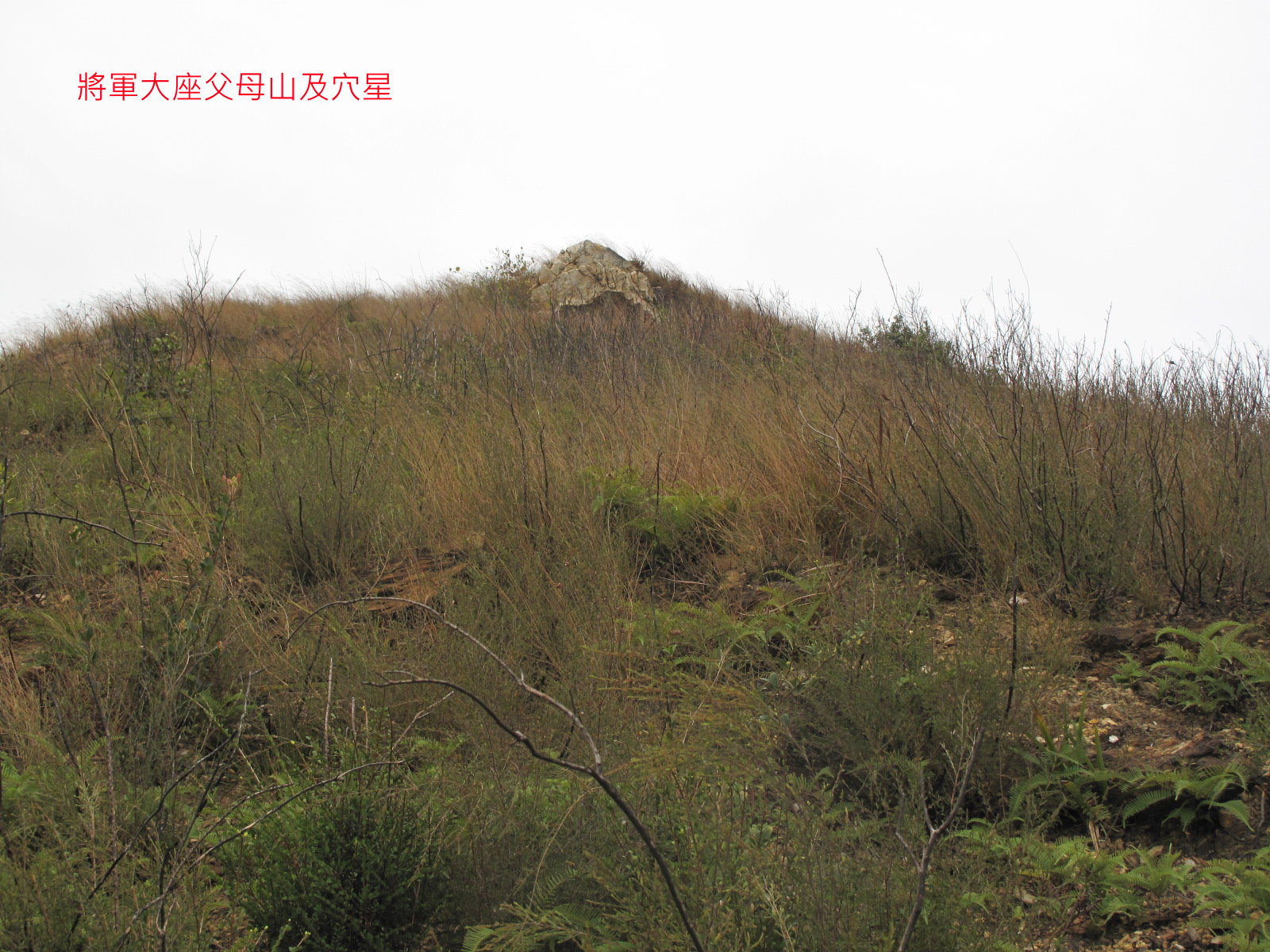 IMG_2874A.jpg