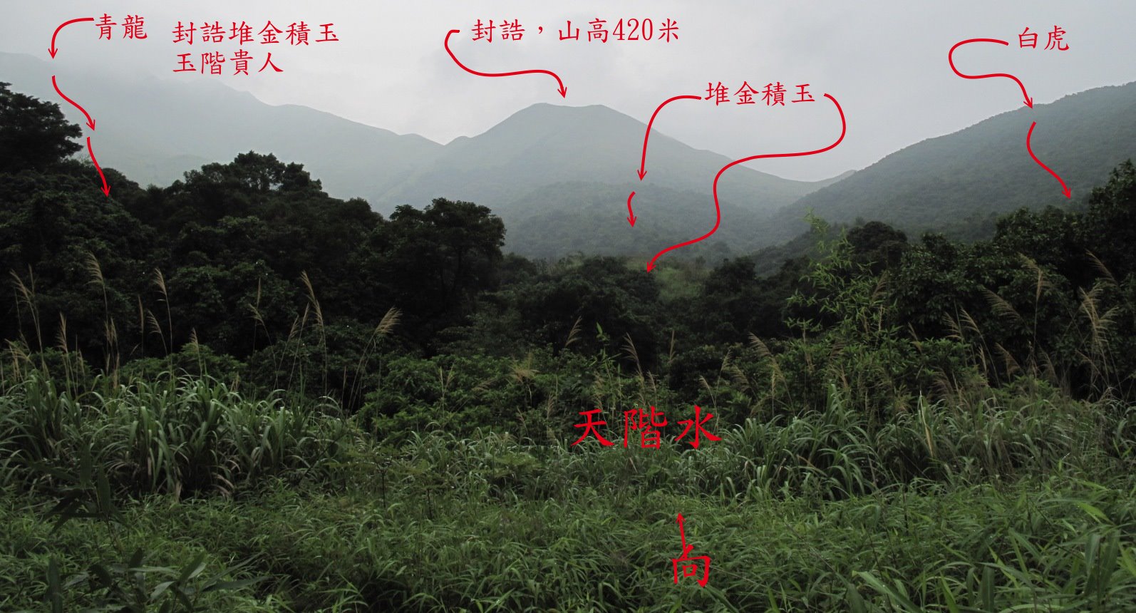 IMG_7376aa.jpg