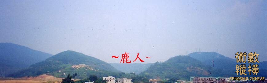 Image-468.JPG