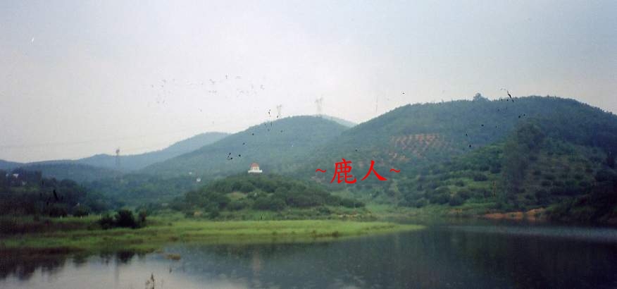 Image-476.JPG