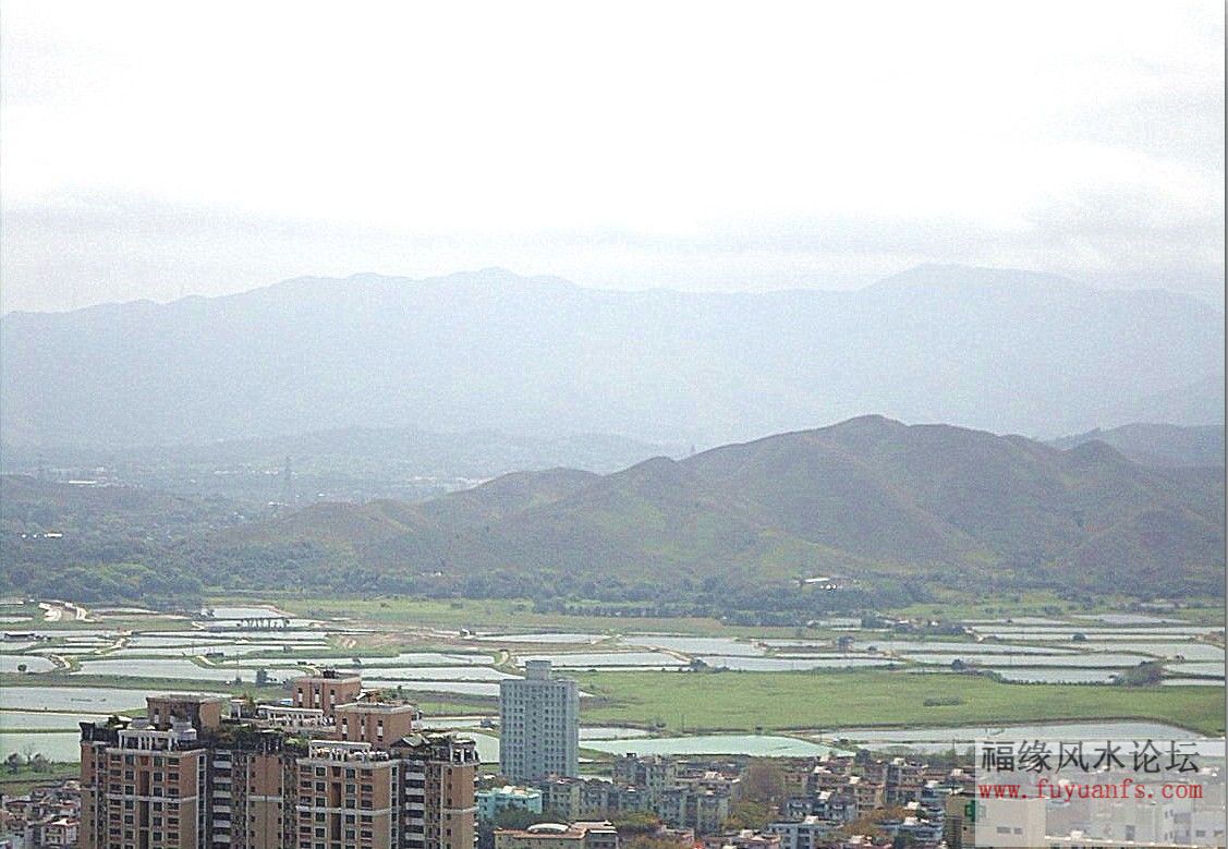 头.jpg