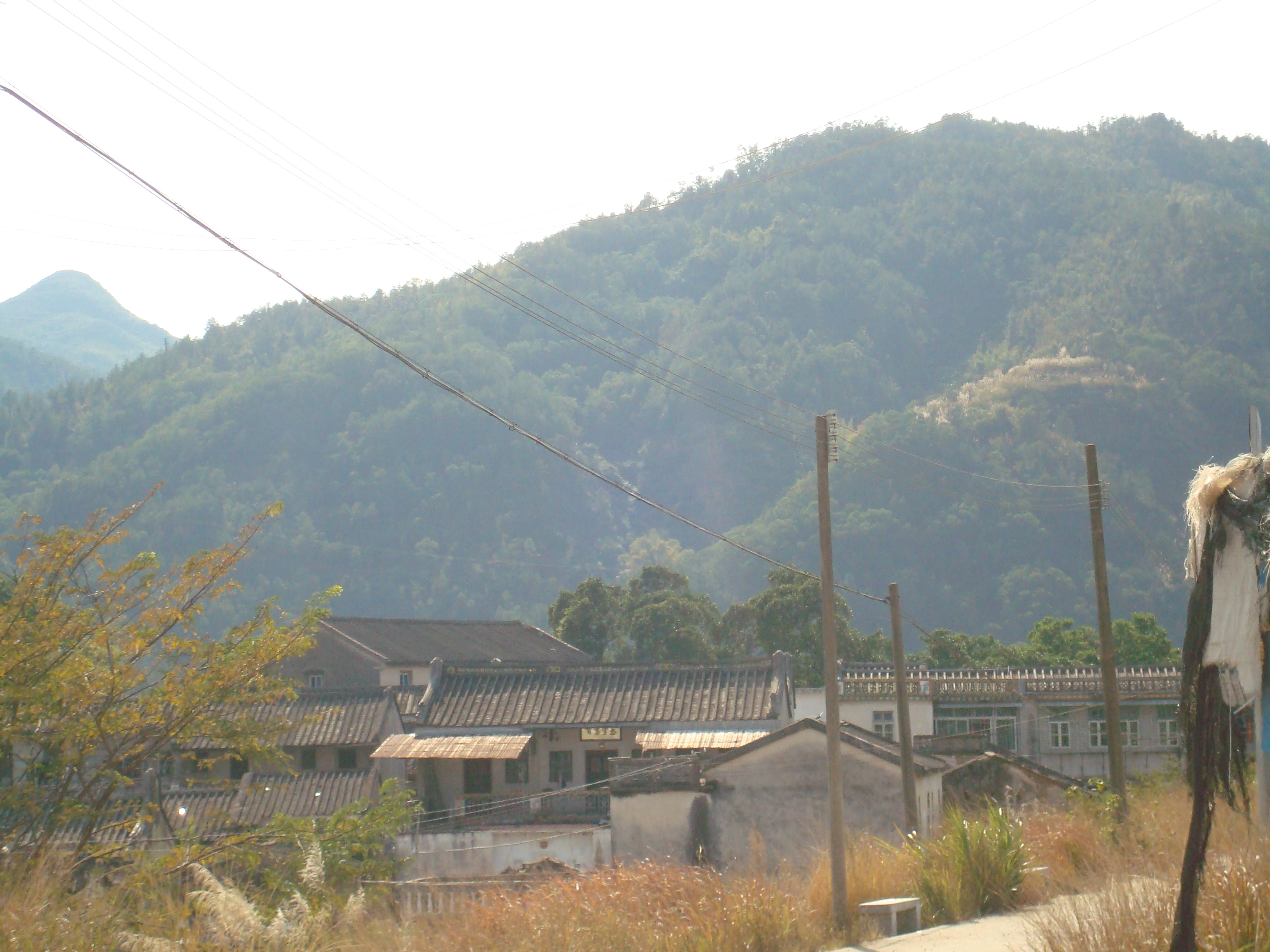 稳坐怀中.jpg