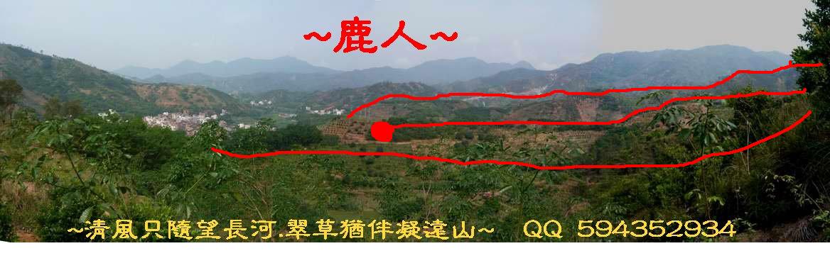 骑龙.JPG