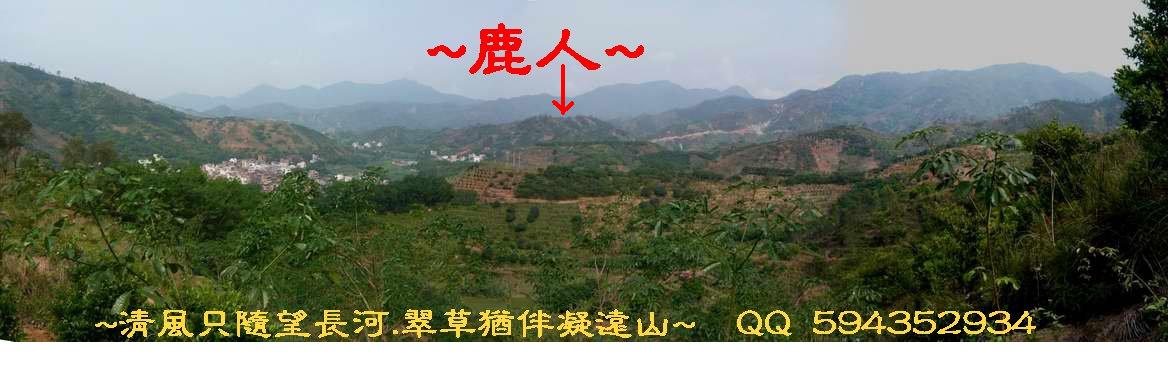 骑龙.JPG