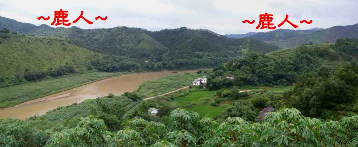 3在父母山頂看堂局全景.JPG