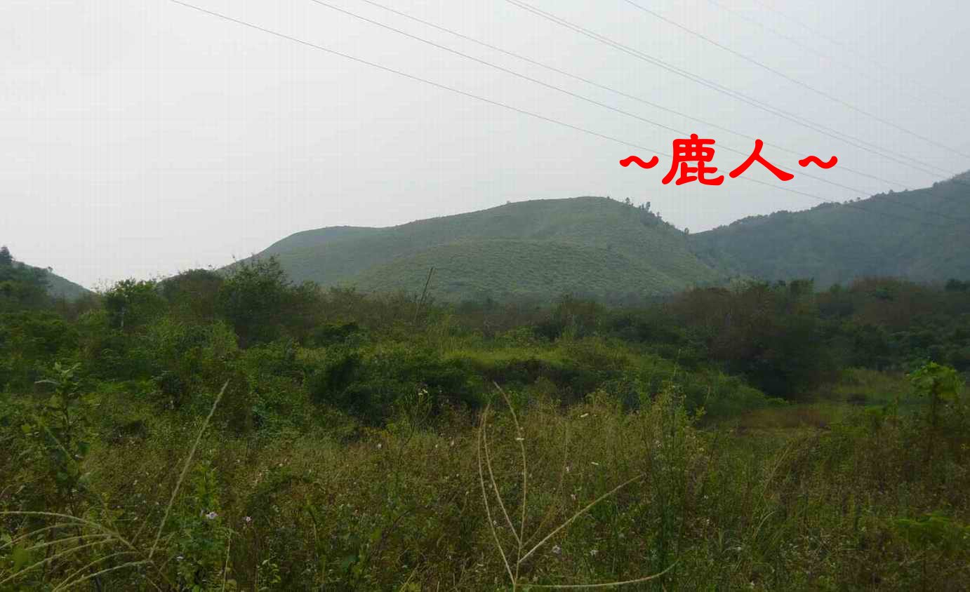 3延途再近一點看穴山.JPG
