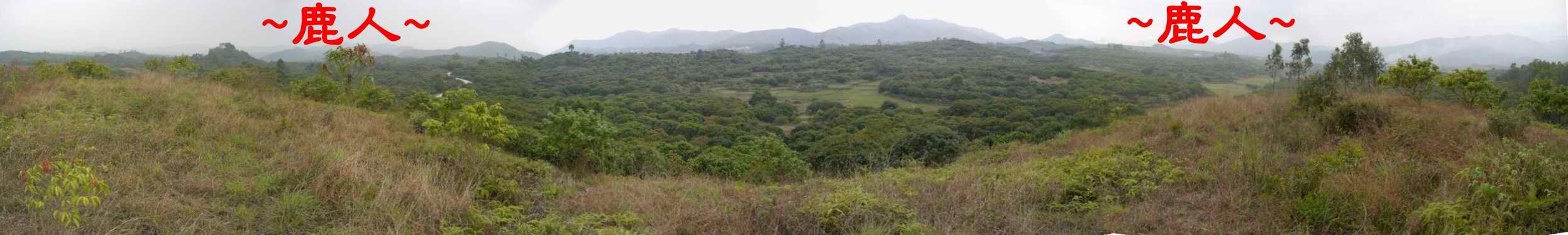 3明南山鄭公墓  在父母上看祖山來龍全照.JPG