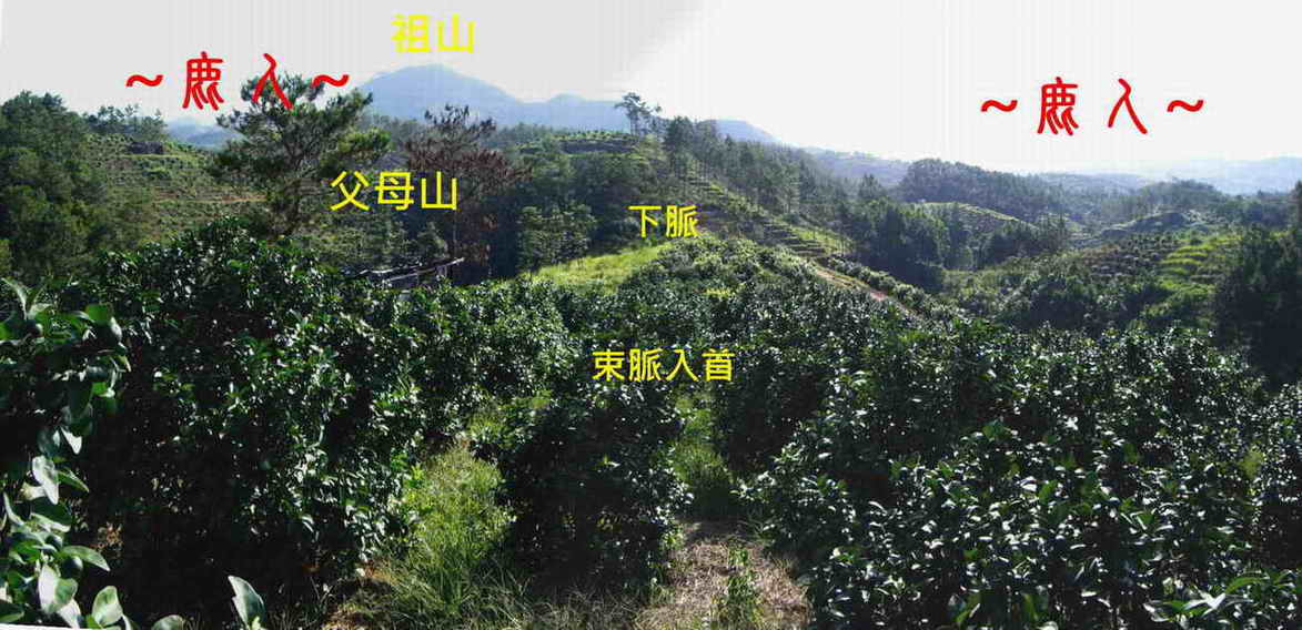 3看父母山掛角下脈束氣入首照.JPG