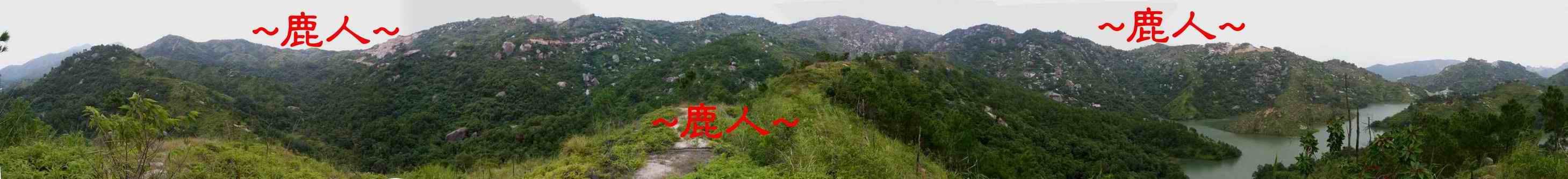 3看行龍下脈出嫩枝與內堂水口全照.JPG