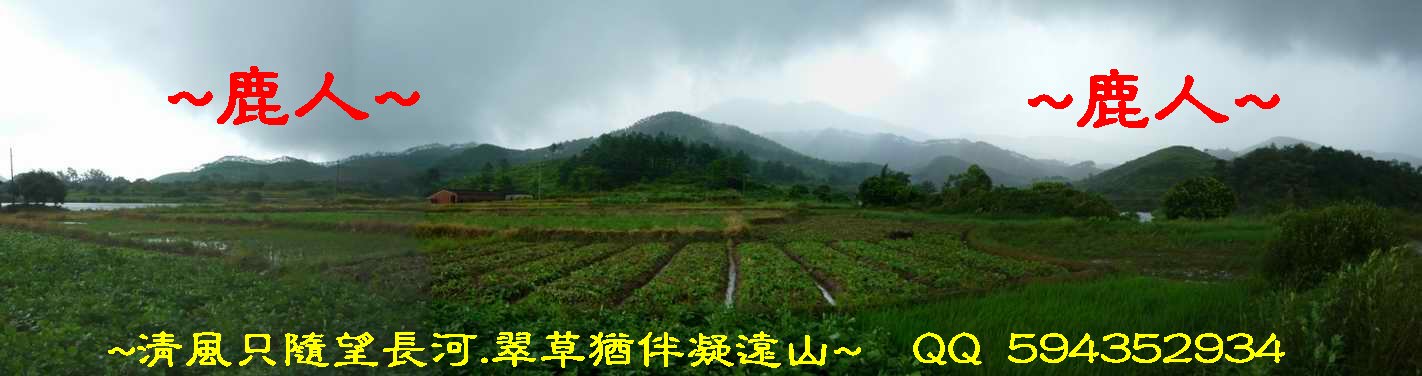 3看來龍照.JPG
