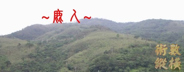 3複製 左邊側看下脈特寫.jpg