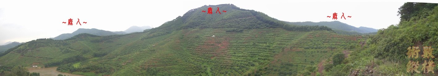 3複製 看來龍與祖山祖山帳全景.JPG
