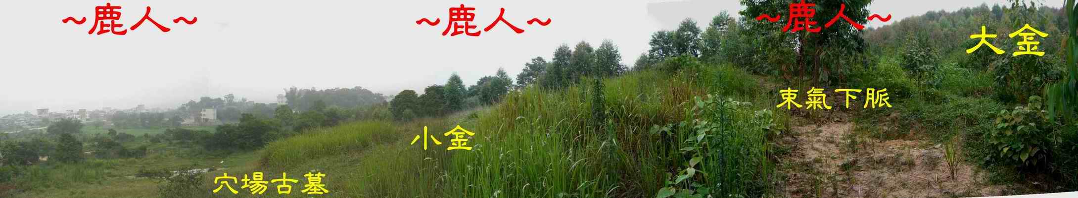 3側看下脈.JPG