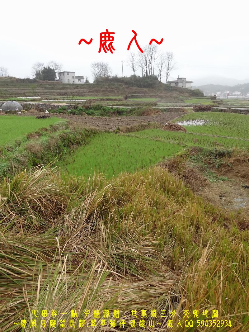 01穩座_06.JPG