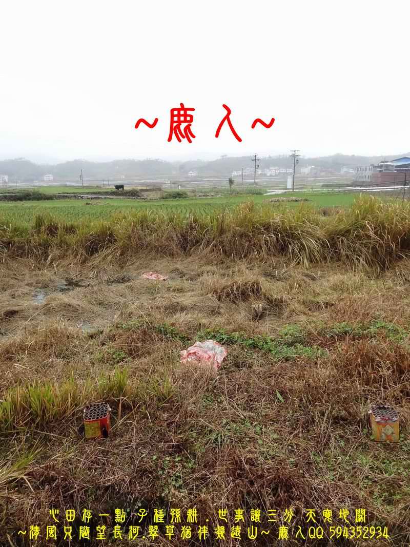 01穩座_08.JPG