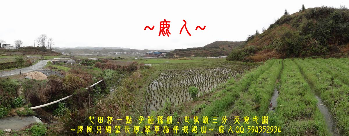 01穩座_02.JPG