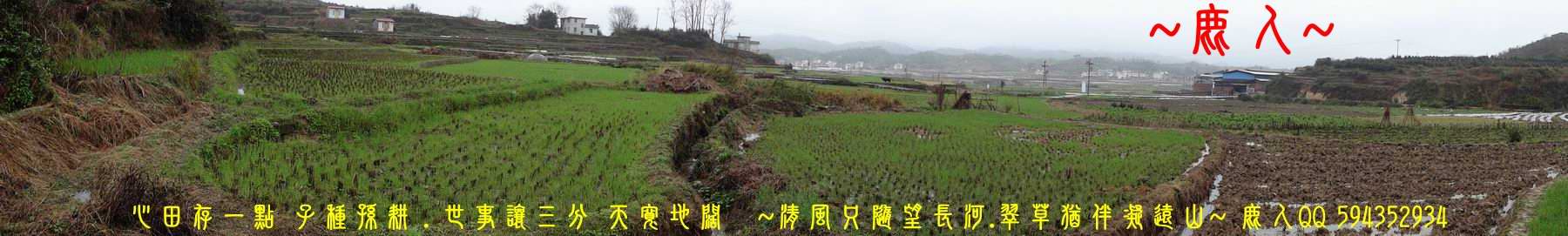 01穩座_03.JPG