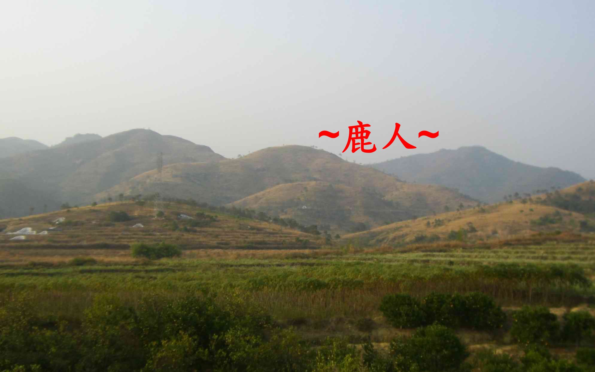 01靚山-3666.JPG