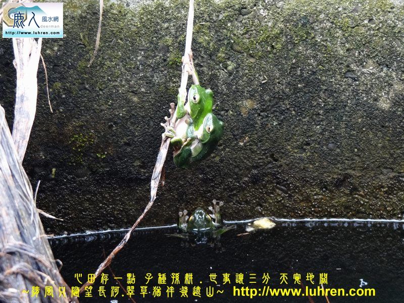 0緊緊抱01.JPG