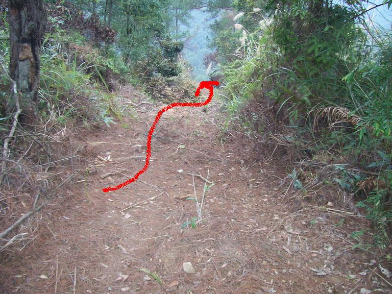 1-5化阳后吉气开始注向穴场.JPG