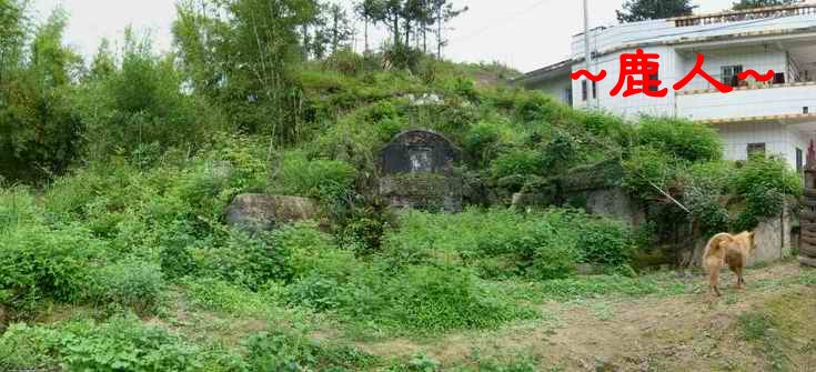 10穴A(高低點陰宅)當地開山祖墓照.JPG