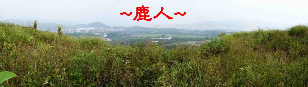 11在穴星頂的古墓上前看堂局.JPG