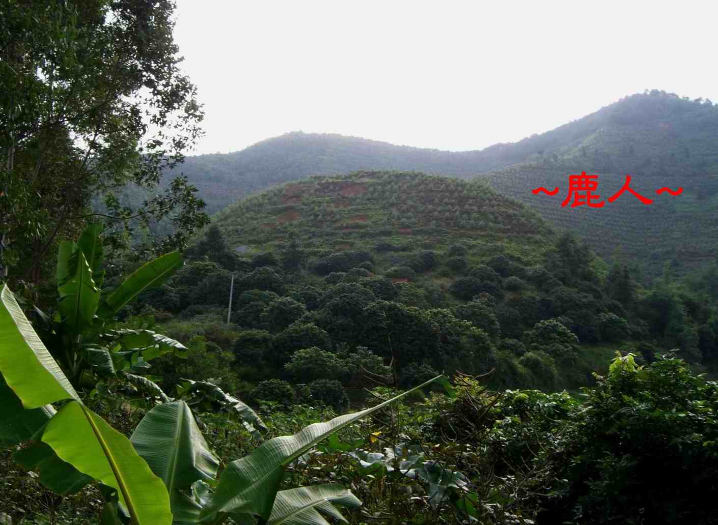 11秀&麗的山& 水照_1098大饅頭.JPG