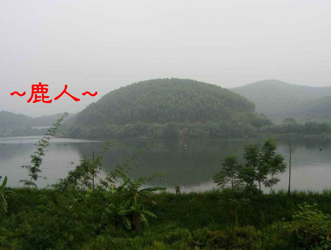 11秀&麗的山& 水照_1004煎蛋加大漢堡.JPG