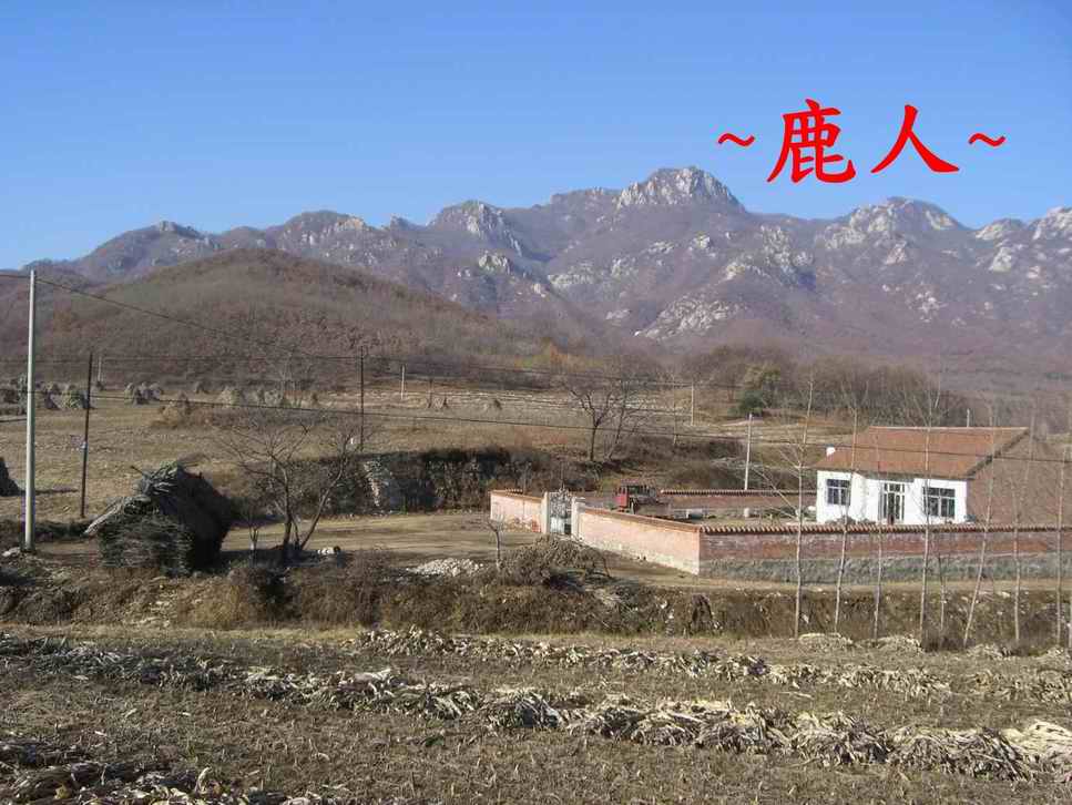 11延途看.JPG