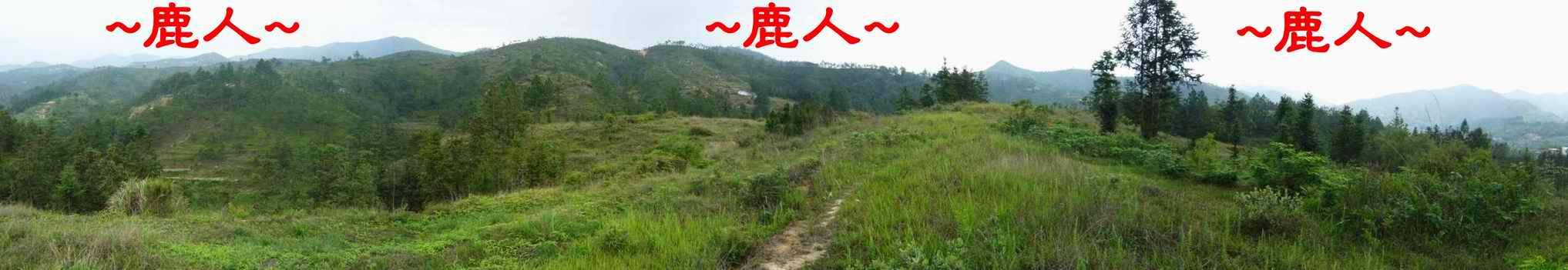 12穴B_由穴後看來龍入首全照.JPG