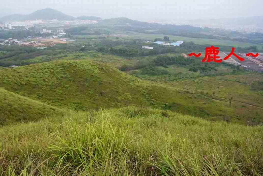 12穴頂俯看壁上燈.JPG