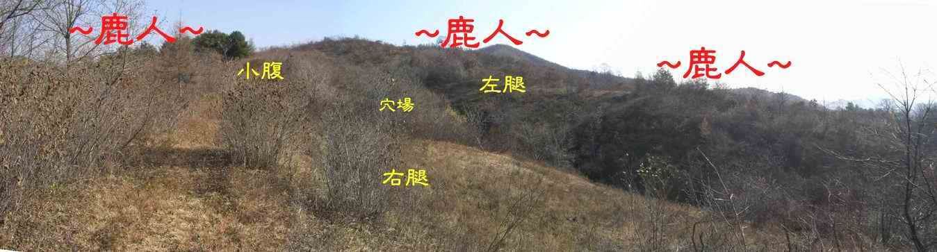 12側看穴場(美女獻花)照.JPG