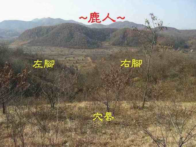 13穴唇與朝堂照.JPG