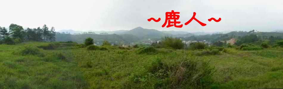 14穴B_由穴場看朝堂照.JPG