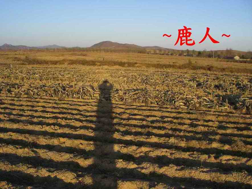 15黃昏的身影.JPG