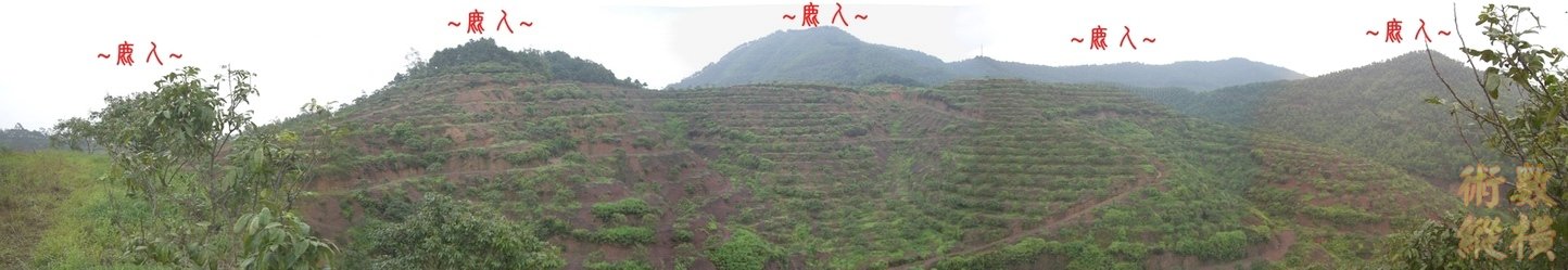 15複製 在父母山看祖山下脈行龍一段全景.JPG