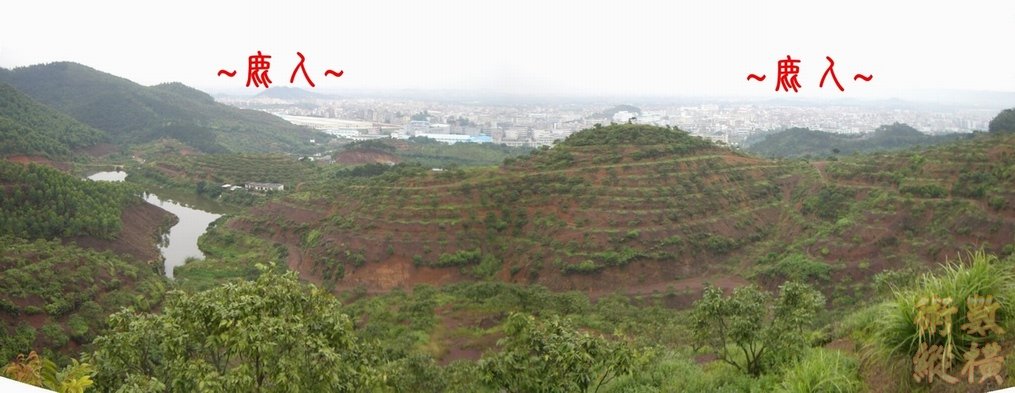 16複製 在祖山過峽處看行龍落脈龍虎砂與堂局全景.JPG