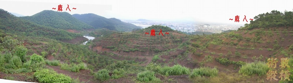 19複製 側看下脈行龍一段父母山與龍砂全照.JPG