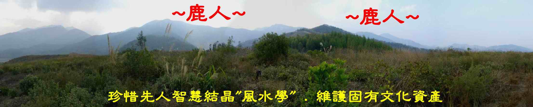 1_5父母山上看來龍下脈全景.JPG