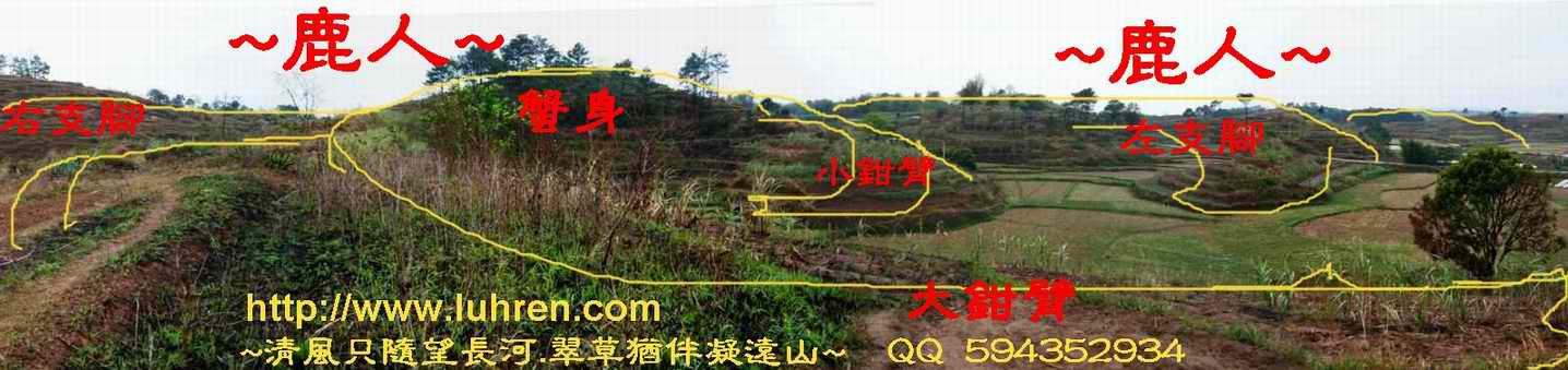 1平崗蟹_由大鉗上側看蟹山_5_1.JPG