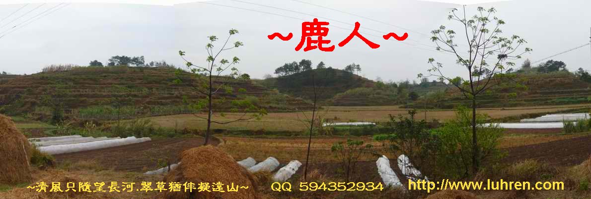 1平崗蟹_由朝案下看蟹(穴)7.JPG