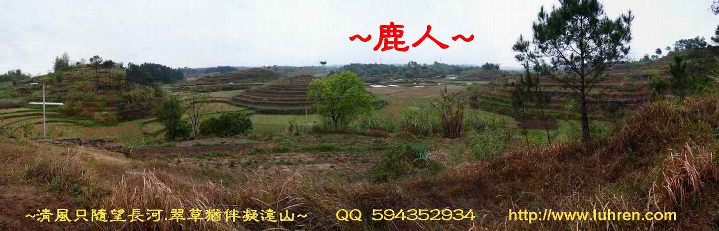 1平崗蟹_由蟹上(穴星)頂側看朝堂照8.JPG