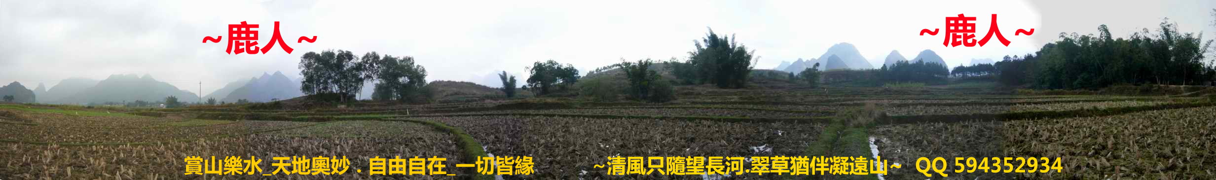 1石山叢林1_02.JPG