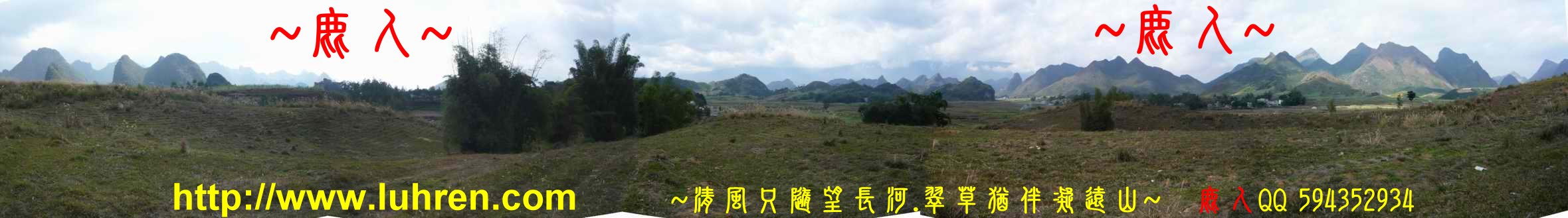 1石山叢林_13.jpg