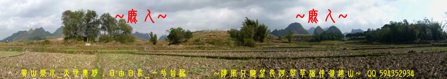 1石山叢林_正照.jpg